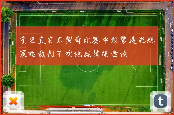 霍里直言东契奇比赛中频繁造犯规策略裁判不吹他就持续尝试