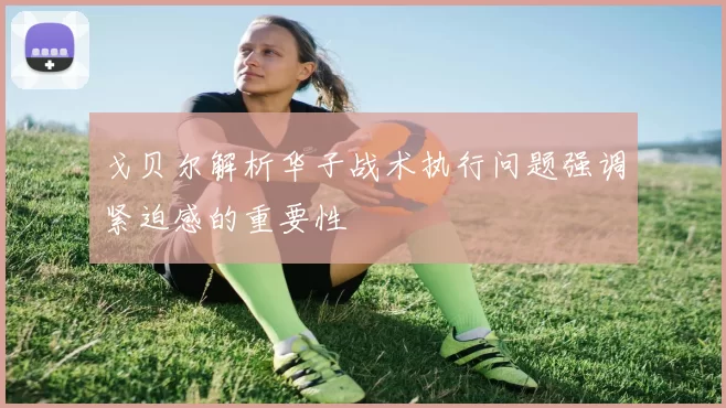 戈贝尔解析华子战术执行问题强调紧迫感的重要性