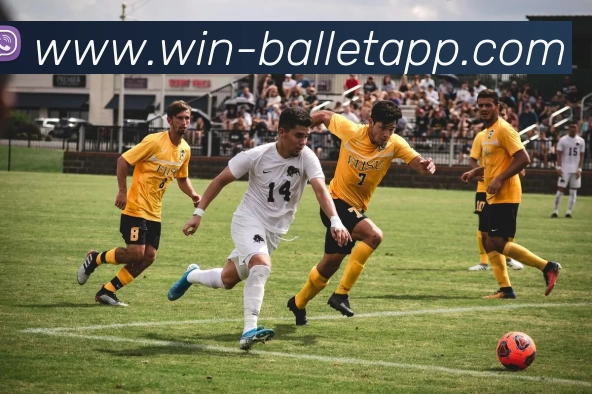 BB体育APP 封面图